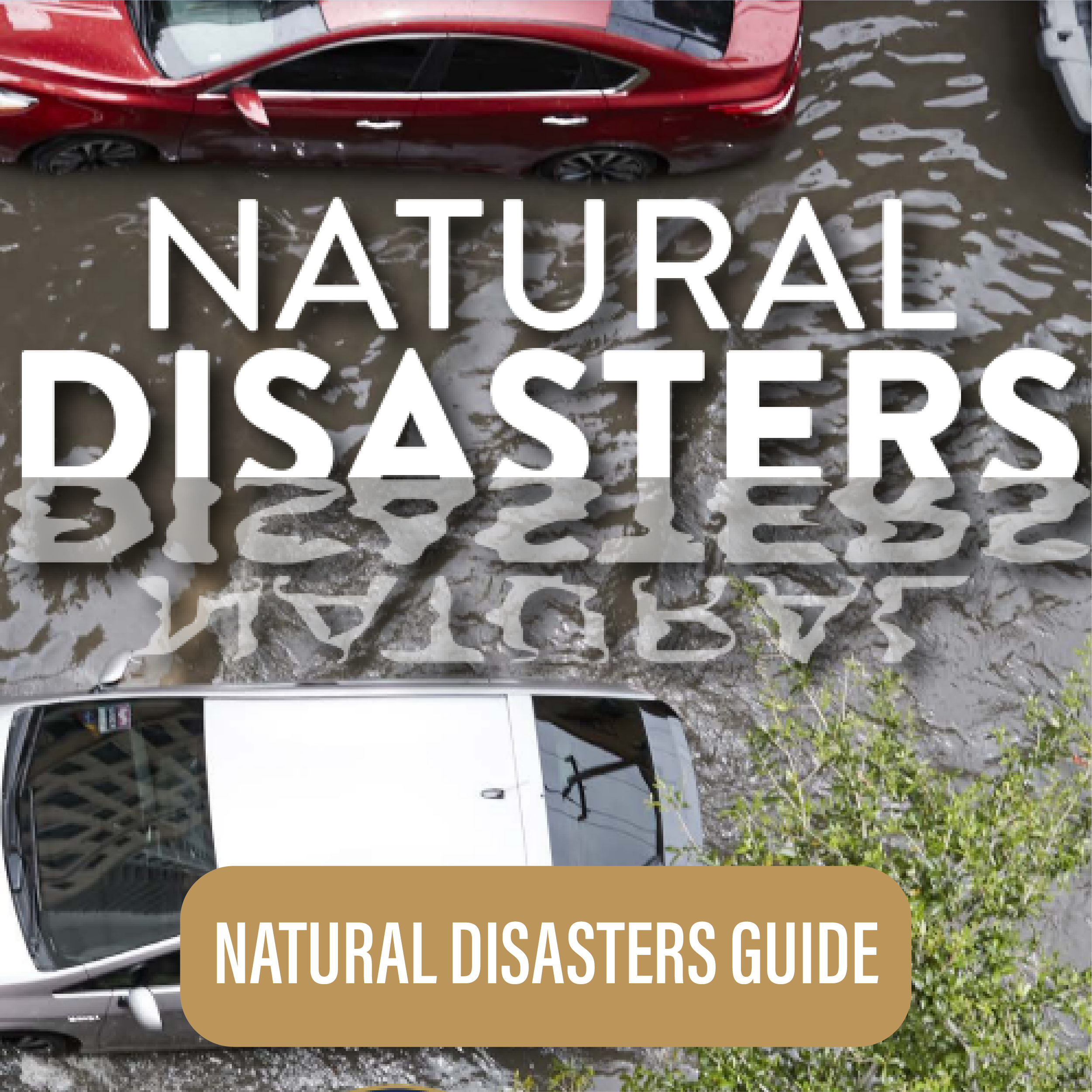 Natural Disasters Guide Download Button