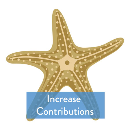 Increase Contributions Increase Contributions Button