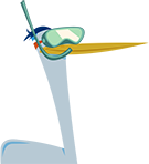 Illustrated heron in snorkle mask