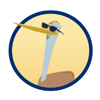 Heron10