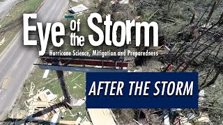 Go YouTube: After the Storm