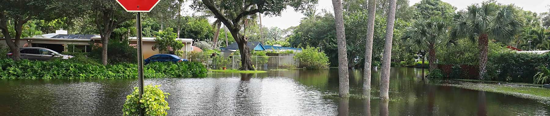 Florida neighborhood with standing water covering most all ground by a foot.