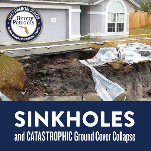 Sinkholes and Catastrophic Ground Cover Collapse Guide