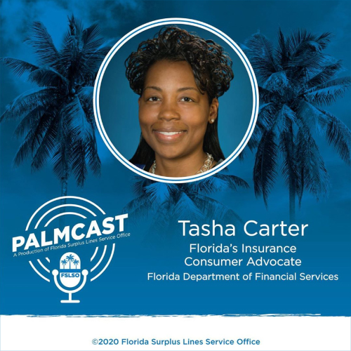 YourFLVoice - Listen Now: Discussing Hurricane Preparedness on PalmCast